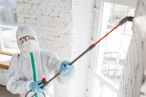 Mold Removal for HVAC Installations in Cameron, MO