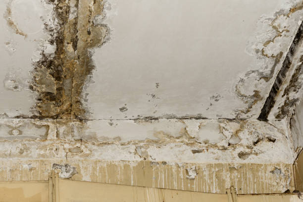 Best Residential Mold Inspection & Testing  in Cameron, MO