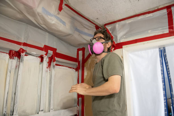 Biohazard Mold Removal in Cameron, MO
