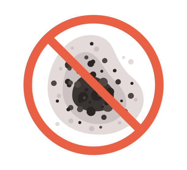 Best Comprehensive Air Testing for Mold Contaminants  in Cameron, MO