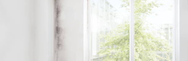 Best Indoor Air Quality Assessment  in Cameron, MO