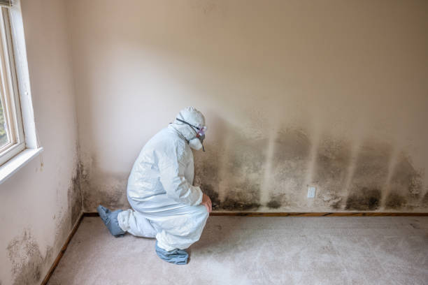 Forensic Mold Investigation in Cameron, MO